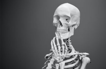 Skeleton reflecting on chiropractic care